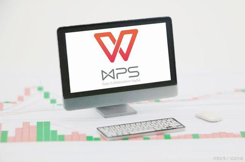 二級(jí)WPS Office考試內(nèi)容詳解 網(wǎng)絡(luò)與信息安全軟件開(kāi)發(fā)方向